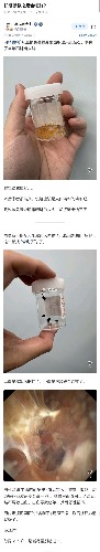a26fe7e90d1db43286e317ab46b1afe2.jpeg
